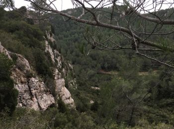 Trail Walking Bize-Minervois - Montredon / Combebelle-le-haut - Photo