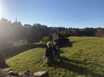 Randonnée Marche Manderscheid - Wikiloc Manderscheid Niederburg en Oberburg (PVDB) - Photo