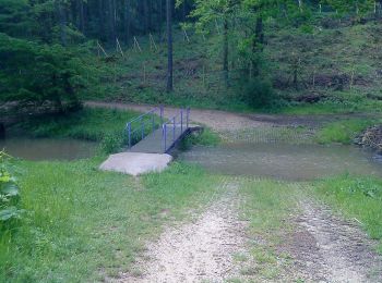 Excursión A pie Monheim - Karstlehrpfad Monheim - Photo