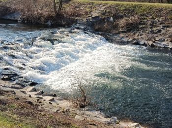 Randonnée Marche Wittelsheim - Pulversheim et environs (09/02/2023) - Photo