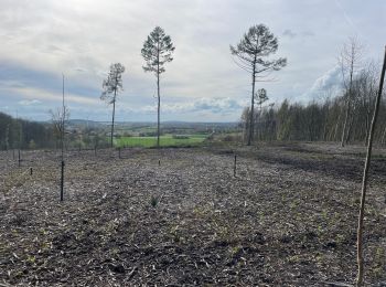 Tocht Stappen Aat - Assoumont-Warloche-Longbonne-Hurtebize-Asdoumont - Photo