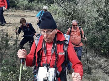 Trail Walking Duilhac-sous-Peyrepertuse - duulhac - Photo