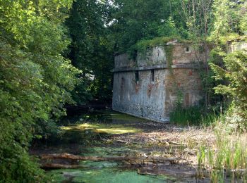 Tour Zu Fuß Kottingbrunn - Laufend geniessen (Höllrigl Kottingbrunn) - Photo