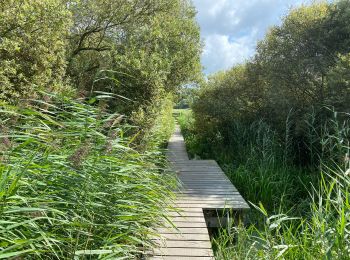 Tocht Stappen Diksmuide - Blanquaart 19 km - Photo