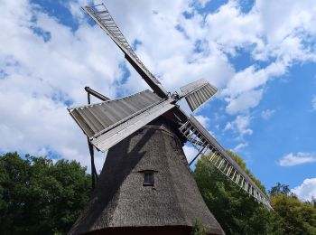 Tour Zu Fuß Mechernich - EifelSchleife Eickser Busch - Photo