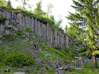 Excursión A pie Abertamy - NS Hřebečná - Photo