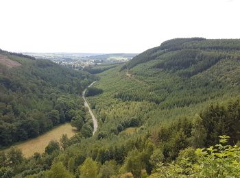 Randonnée Cheval Saint-Hubert - Chevauchée de la Bonne Dame - Photo