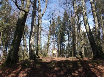 Tour Zu Fuß Bergen - Rundweg Bergen 3 - Photo