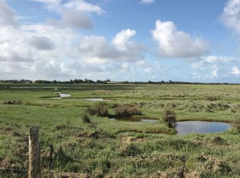 Randonnée Marche Bretteville-sur-Ay - 2019 août Normandie mercredi matin - Photo