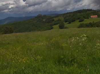 Tour Wandern Lachamp-Raphaël - 07 lachamp Raphaël orga 10.06.23 - Photo