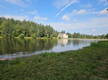 Randonnée Marche La Chaise-Dieu - La Chaise Dieu, Mozun, Baffour, Lac de la Tour (boucle)  - Photo