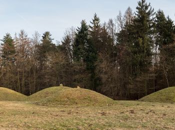 Tour Zu Fuß Strullendorf - Weg durch die Siedlungsgeschichte - Photo