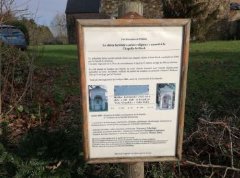 Tocht Paard Blegny - Promenade des 7 villages à cheval - Photo
