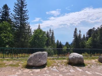 Percorso Marcia Le Bonhomme - les 3 lacs au départ du col du calvaire - Photo