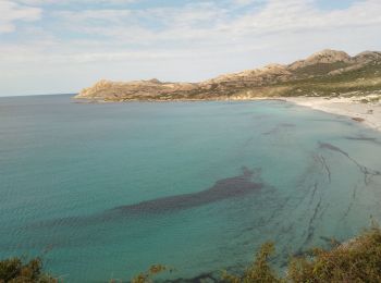 Trail Walking Palasca - corse - Photo