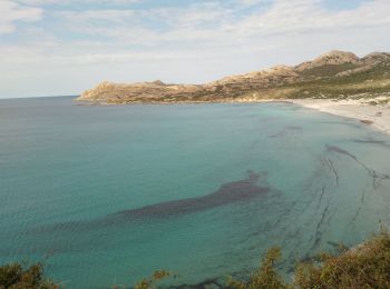 Randonnée Marche Palasca - corse - Photo