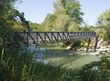 Tour Zu Fuß Eggenwil - Sulz Fähre - Bremgarten - Photo