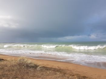 Tocht Stappen Saint-Georges-d'Oléron - gautrelle - Photo