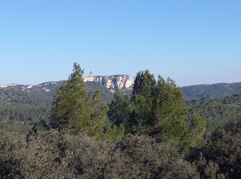 Excursión Senderismo Saint-Rémy-de-Provence - Saint Remy - les Baux  - Photo