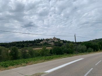 Tour Rennrad Le Barroux - Madeleine - Crillon le Brave - Le Barroux - Photo