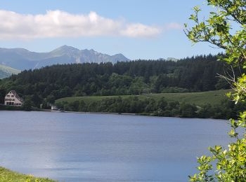 Percorso Marcia Orcival - 290522 Lac de Servière / ferme de la tâche  - Photo