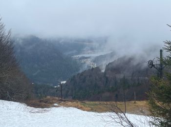 Tour Wandern Xonrupt-Longemer - Yp - Photo