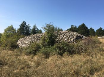 Trail Walking Saint-Pierre-de-la-Fage - Parlatges - La Vacquerie-et-St-Martin-de-Castries - Photo