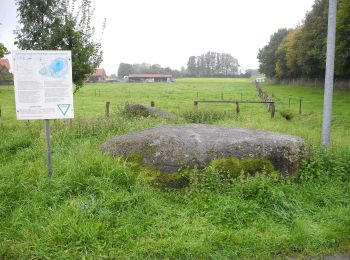 Tocht Te voet Wallenhorst - Hollager Rundwanderweg Nr.4 - Photo