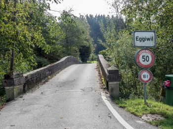 Randonnée A pied Eggiwil - Heidbüehl - Pfyffer - Photo