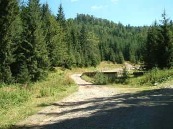 Tour Zu Fuß  - Stâna de Vale-Casc. Moara Dracului - Photo