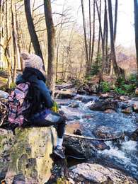 Trail Walking Jalhay - Légendes et forêt enchantée à Solwaster. (Promenade 57)  - Photo