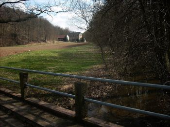 Tocht Te voet Seelitz - Rundweg Porschel - Eselsberg Döhlen - Photo