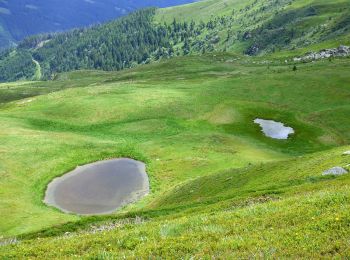 Excursión A pie Hüttenberg - Saualpen-Nordrunde - Photo