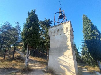 Trail Walking Cadenet - Châteaux de Lourmarin et Cadenet - Photo