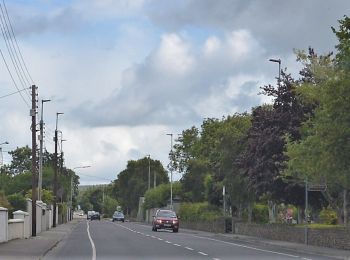 Tocht Te voet Tralee Municipal District - Slí na Sláinte Tralee - Photo