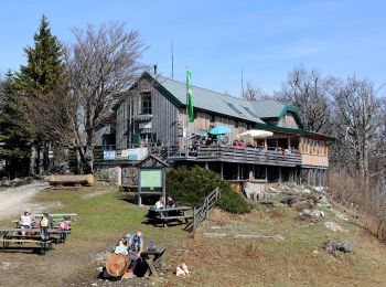 Tour Zu Fuß Gemeinde Muggendorf - Thal - Kieneck (Enzianhütte) - Photo