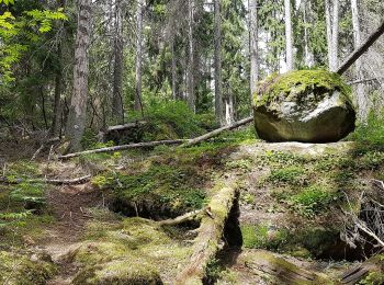 Percorso A piedi Sconosciuto - Trehörningsrundan - Photo