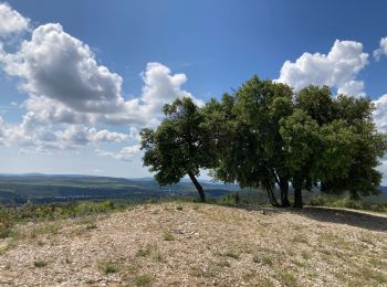 Excursión Marcha nórdica Montarnaud - Beau tour , reprise course légère  - Photo