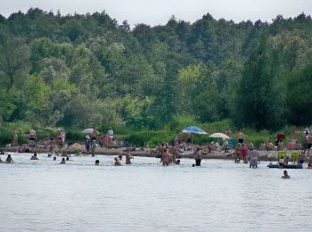 Percorso A piedi Grabów nad Pilicą - Bory Sosnowe okolic Warki - ścieżka - Photo