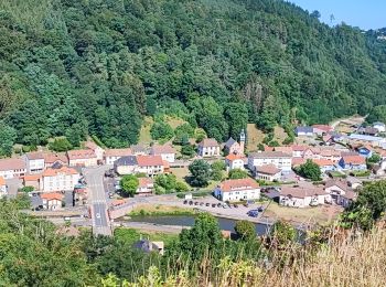 Tour Wandern Heinrichsdorf - lutzelbourg - Photo