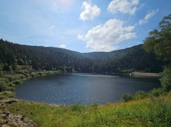 Tour Wandern Urbeis - Le Lac Noir - Photo