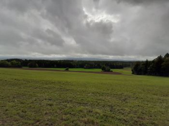 Trail Walking Les Nans - la Roche des Nans - Photo