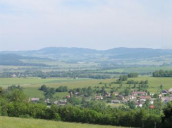 Trail On foot Dešenice - NS Po stopách formanů - Photo