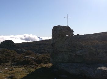 Percorso Marcia Pietralba - Regha di Pozzo depuis Pietralba - Photo