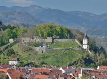 Randonnée A pied Bruck an der Mur - Naturfreunde Rundwanderweg - Photo