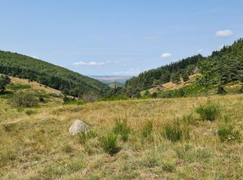 Randonnée Marche Saint-Sauveur-Camprieu - Perte-Bonneur-Bramabiau - Photo