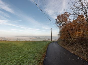 Tour Zu Fuß Baiso - Visignolo - La Baragalle - Il Borgo - Casalecchio - Visignolo - Photo