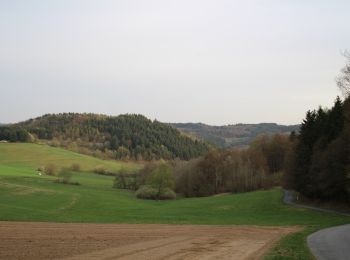 Percorso A piedi Bad Endbach - Wanderweg E5 / Quellweg - Photo