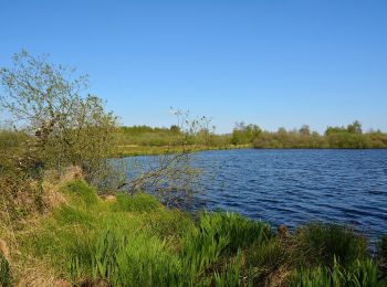 Randonnée A pied Tellingstedt - Klaus-Groth-Wanderweg - Photo