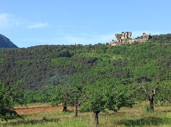 Trail Walking Mostuéjouls - J7: Mostuéjouls-Millau-150522 - Photo